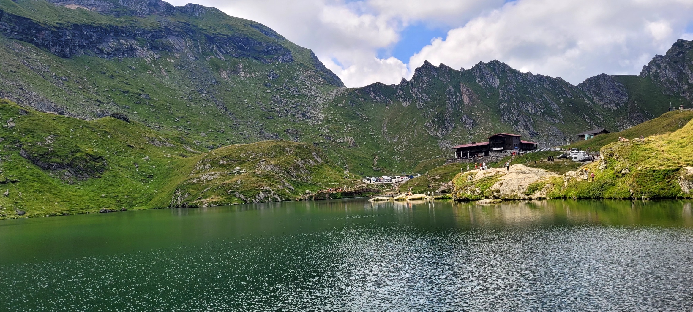 Transfagarasan Brown Bears