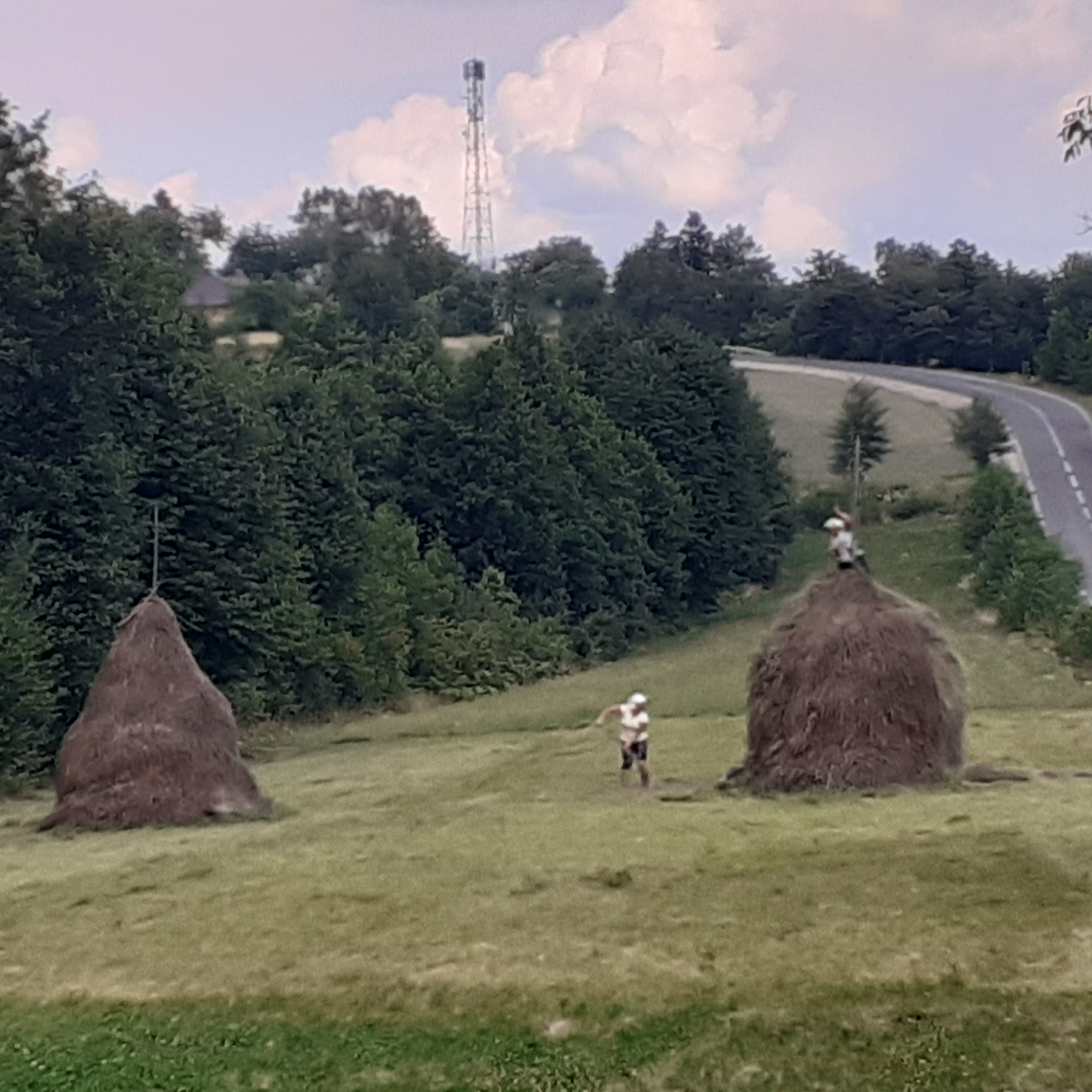 villagers hay romanian hills of Transylvania